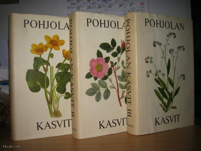 Pohjolan kasvit I-III 1-3 Tammi