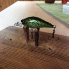 Daiwa Prorex BABY CRANK 4cm - pikkukuva 2
