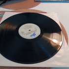 Suicidal Tendencies - Lights, Camera, Revolution LP 1990 - pikkukuva 4