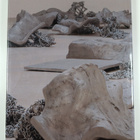Kirsten Ortwed : Kirsten Ortwed : [the danish pavilion at... - pikkukuva 2