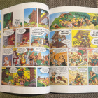 ASTERIX OBELIXIN KALEERI - pikkukuva 5