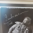 IAN ANDERSON ( JETHRO TULL ) NIMMARI KEHYKSISSÄ - pikkukuva 2
