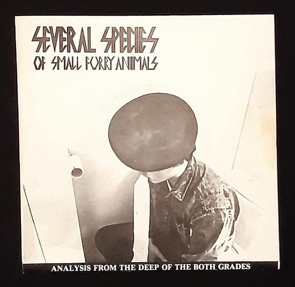 Several Species Of Small Furry Animals – Analysis From.. 7"