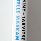 Estelle Maskame: DIMILY - TARVITSEN -  Did I Mention I - pikkukuva 2