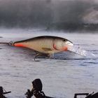Rapala shad rap - pikkukuva 1
