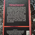 Riikka Forsström: Kaunis turhuus - pikkukuva 2