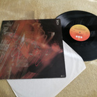 ANDREAS VOLLENWEIDER - ... Behind The Gardens - Behind Th LP - pikkukuva 2