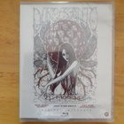 Four Flies on Grey Velvet BLU-RAY - pikkukuva 1