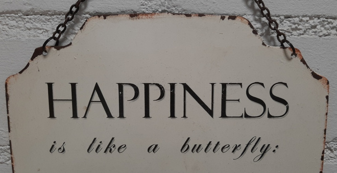 Happiness metallinen kyltti maalaisromanttinen
