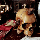 Keraaminen ”Memento mori” – kallo - pikkukuva 2