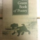 The Green Book of Poetry (hardcover) - pikkukuva 1