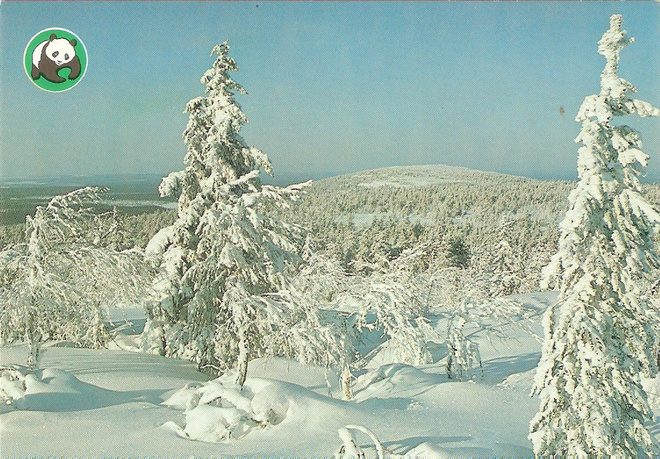 SUOMI - FINLAND :Sarja Talvimaisemat. Ei kulk.