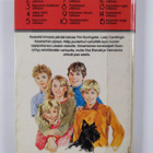 Enid Blyton : Kadonneen kissan salaisuus - pikkukuva 2