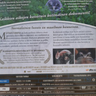 METSÄN TARINA BLU-RAY + DVD - pikkukuva 2