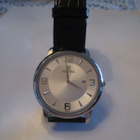 Miesten Rannekello Festina , Quartz - pikkukuva 1