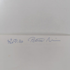 Päivi Niemi : Päivin stoori (signeerattu, tekijän omiste) - pikkukuva 3