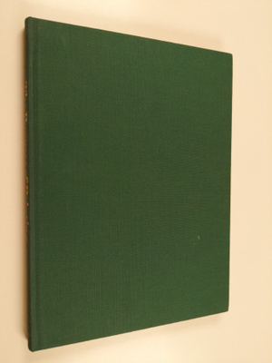 Angela D'Aleo : The Purpose of Painting