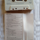 C- KASETTI: JOHNNY LEE MICHAELS AND TH ANDROIDS : DAYDREAMER - pikkukuva 2