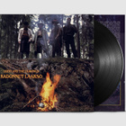 Leevi and the Leavings : Kadonnut laakso- LP, musta, uusi - pikkukuva 1