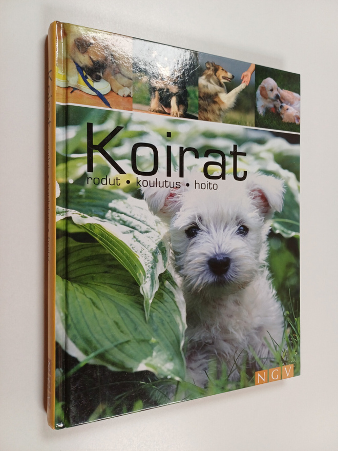 Barbara Willms : Koirat : rodut, koulutus ja hoito