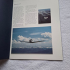 BEECHCRAFT BONANZA B36TC ESITE VINTAGE - pikkukuva 2