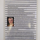 Iiris Aaltio-Marjosola : Naiset, miehet ja johtajuus - pikkukuva 2