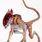 ALIENS PANTHER ALIEN	(75 045)	n.20cm,with magnetic attack pa - pikkukuva 1