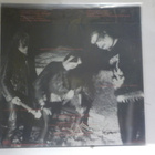 IMMORTAL - DIABOLICAL FULLMOON... M-/M- RANSKA 2005 LP - pikkukuva 2