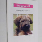 Eukanuba : Elämää pennun kanssa - pikkukuva 1