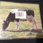 Pink Floyd Atom heart mother RM cd Eu - pikkukuva 4