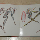 Miles Davis: You're under arrest -Lp, kuin uusi - pikkukuva 3