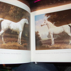 HORSE IN THE WORK OF ANDRZEJA NOVAKA ( 1 p. 1987 Puola ) - pikkukuva 3