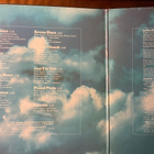 PETER GREEN:” In The Skies”, vinyyli lp - pikkukuva 2