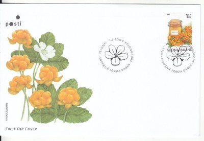FDC 2005 Hilla