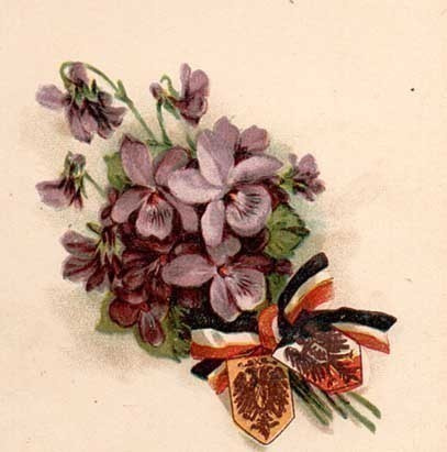 ORVOKKI / Romanttisen suloinen pieni orvokkikimppu. 1900-l.