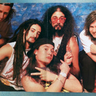 Testament / Faith No More : Hieno posteri - pikkukuva 2