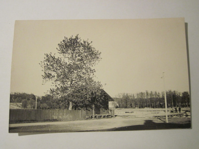 VANHA Postikortti Tammisaari 1930
