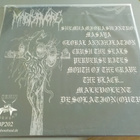 MARTYRVORE - MALEVOLENT DESOLATION M-/M- LP - pikkukuva 2