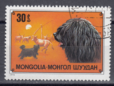 Mongolia 1978 Mi 1173 Puli