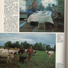 Pellervo n:o 19/20 1975 Kalevi Haapoja. Nurmo. Eduskunnan is - pikkukuva 4
