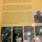 SITRUSHEDELMIÄ OMASTA PUUSTA JA PUUTARHASTA - pikkukuva 3