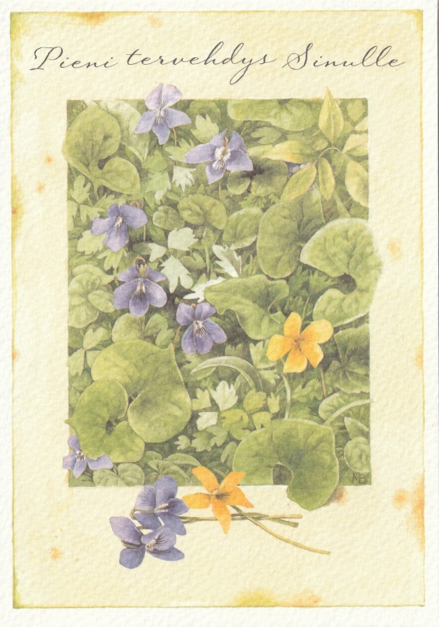 Marjolein Bastin - Sinivuokkoja - keltavuokkoja