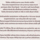 Saara Henriksson: Railakas rahakirja - pikkukuva 3