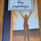Tony Dunderfelt : Ilon psykologia - pikkukuva 1