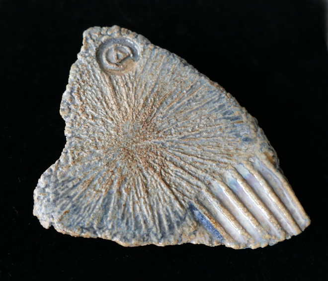 Fossiili -rintakoru 8,5 x 5,5 x 6,5 cm YO ZEN