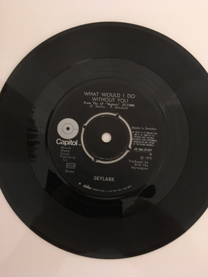 (7") Skylark - What Would I Do Without You