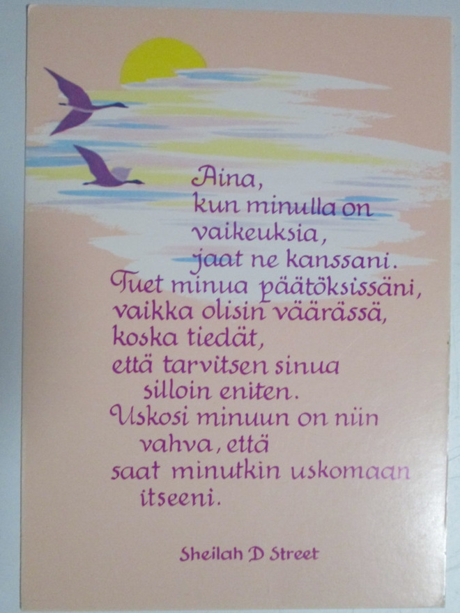 KULKEMATON AJATELMAKORTTI SHEILAH D STRRET