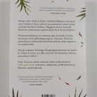 Pirjo Toivanen : Siskoni Italiassa - pikkukuva 2