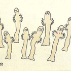 MUUMI PURKKAKUVAT, 1995 - pikkukuva 1