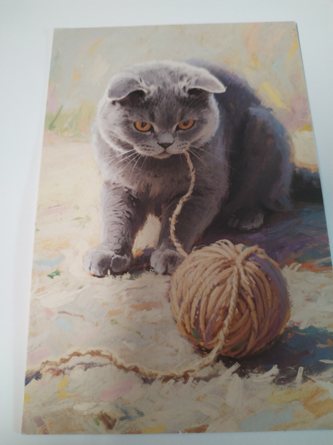 Kissa  kortti, kulkematon.